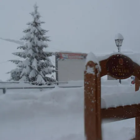 Lyskamm 호텔 브루일서비니아